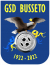 logo Busseto Scuola Calcio